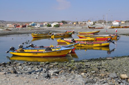 Fishing boats, Caleta Chañaral - Chile