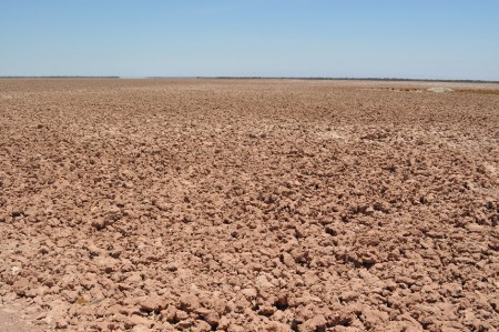 Salar Crespo Activo de Pintados, Iquique - Chile
