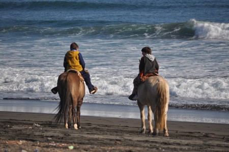 Horseback riding, Ritoque - Chile