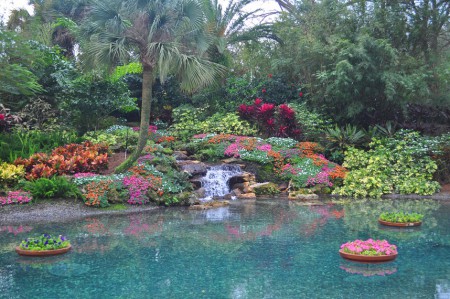 Colors, Seaquarium - Orlando - USA