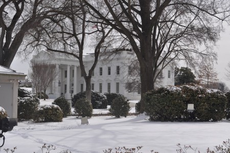 Back yard of The White House, Washington DC - USA